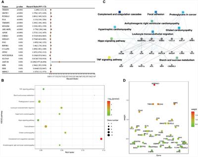 A novel gene signature related to focal adhesions for distinguishing and predicting the prognosis of lung squamous cell carcinoma